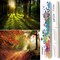 Paint by Numbers Kit for Adults Beginners 2 Pack Paint by Numbers for Adults Rolled up Canvas for Home Decoration Creative Wall Art with Colorful Gift Box 12x16 inch Forest Sunrise 175-176